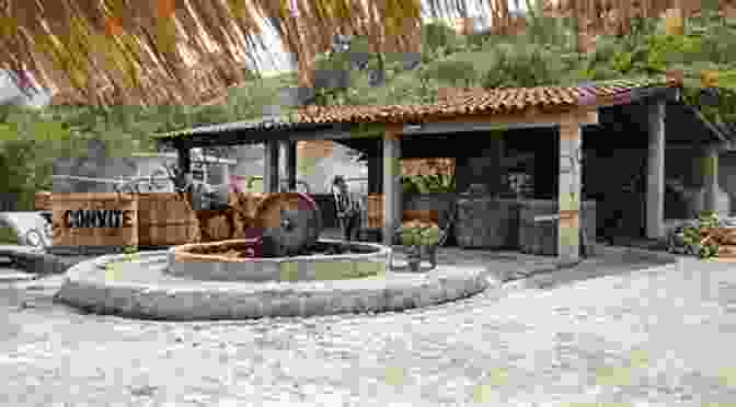 A Traditional Palenque, Where Mezcal Is Produced Tequila Aficionado Magazine November 2024: The Only Direct To Consumer Magazine Specializing In Tequila Mezcal Sotol Bacanora Raicilla And Agave Spirits