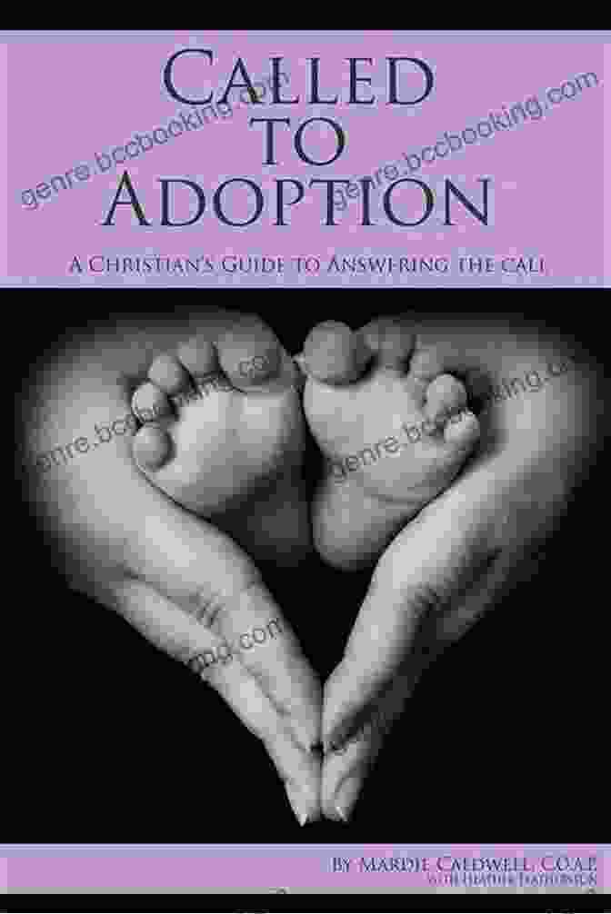 An Adoption Story Of Faith Book Cover The Face In The Clouds: An Adoption Story Of Faith