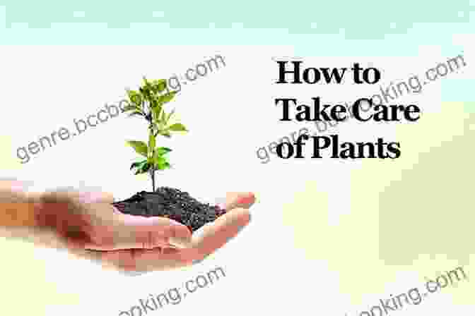 How We Should Sow And Take Care Of Them Book Cover MOM DAD I WANT TO EXPLAIN TO YOU ABOUT THE TREES: HOW WE SHOULD SOW AND TAKE CARE OF THEM