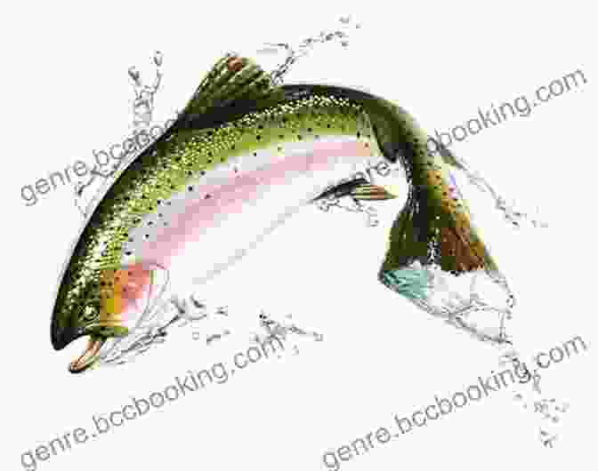 Image Of A Salmon Jumping Out Of The Water 250 Amazing Fishing Tips: The Best Tactics And Techniques To Catch Any And All Game Fish