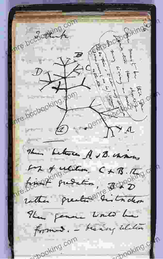 Page From Darwin's Lost Notebook Featuring Sketches And Observations Pilgrim On The Great Bird Continent: The Importance Of Everything And Other Lessons From Darwin S Lost Notebooks
