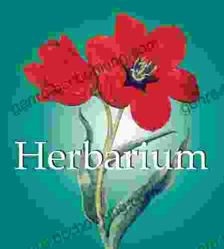 Herbarim (Mega Square) Stefhen F D Bryan