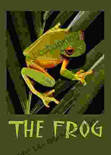 The Frog: The Life Of A Frog (Amazing Creatures)