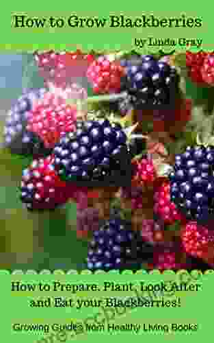 How To Grow Blackberries Linda Gray