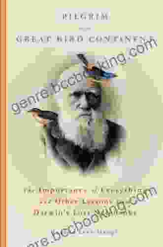Pilgrim On The Great Bird Continent: The Importance Of Everything And Other Lessons From Darwin S Lost Notebooks