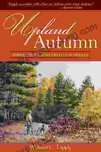 Upland Autumn: Birds Dogs And Shotgun Shells